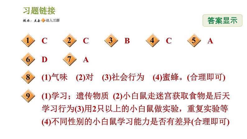 浙教版B本八年级上册科学习题课件 第3章 3.4 动物的行为02