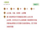 浙教版B本八年级上册科学习题课件 第3章 3.4 动物的行为