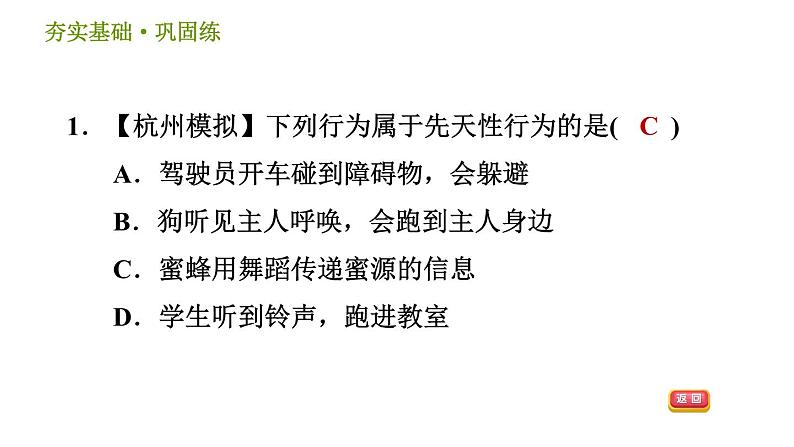 浙教版B本八年级上册科学习题课件 第3章 3.4 动物的行为04