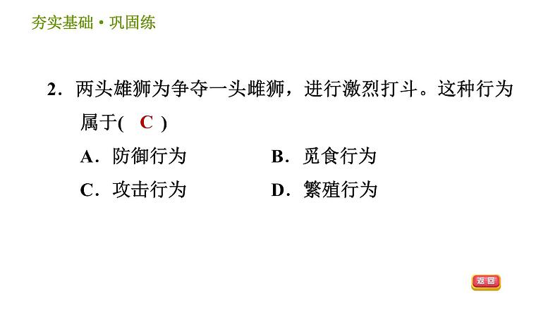 浙教版B本八年级上册科学习题课件 第3章 3.4 动物的行为05