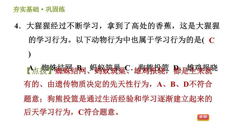 浙教版B本八年级上册科学习题课件 第3章 3.4 动物的行为07