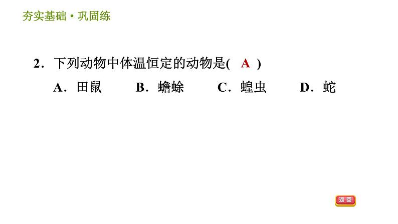 浙教版八年级上册科学习题课件 第3章 3.5 体温的控制06