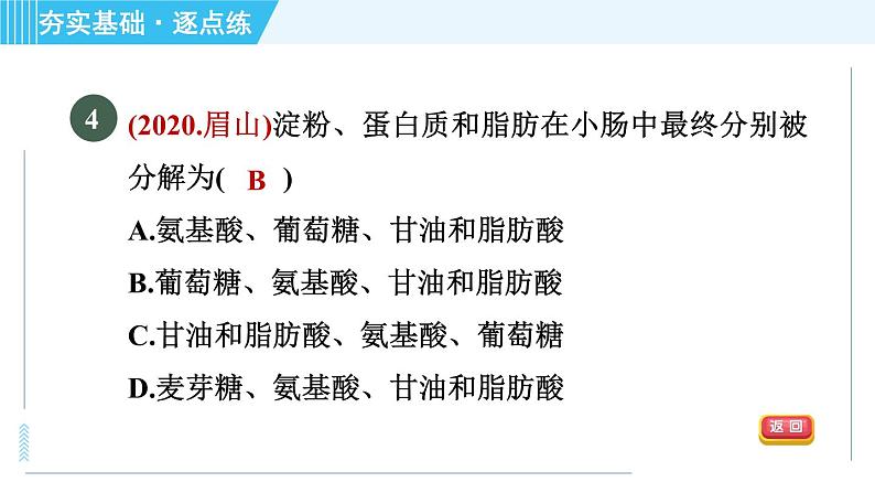 浙教版九年级全一册科学习题课件 第4章 4.2.2食物的消化与吸收第6页