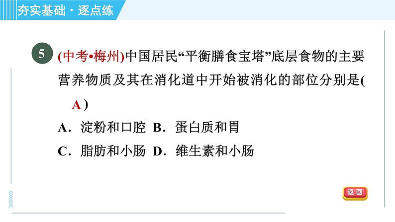 浙教版九年级全一册科学习题课件 第4章 4.2.2食物的消化与吸收第7页