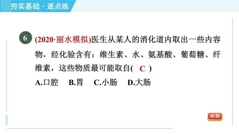 食物的消化与吸收PPT课件免费下载08