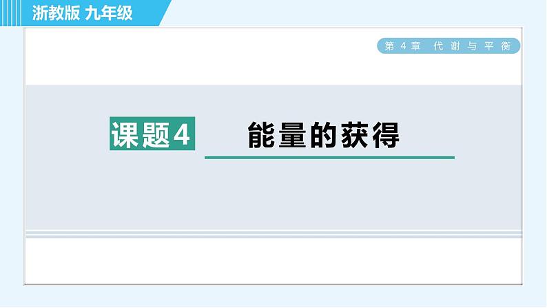 浙教版九年级全一册科学习题课件 第4章 4.4能量的获得01