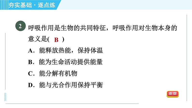 浙教版九年级全一册科学习题课件 第4章 4.4能量的获得04