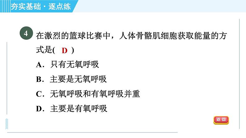 浙教版九年级全一册科学习题课件 第4章 4.4能量的获得06