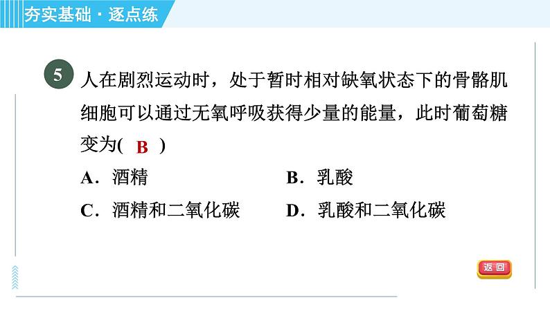 浙教版九年级全一册科学习题课件 第4章 4.4能量的获得07