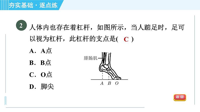 浙教版九年级全一册科学习题课件 第3章 3.4.1杠杆、研究杠杆的平衡05