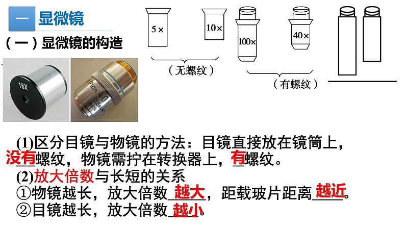 1.2细胞的统一性和多样性课件PPT04