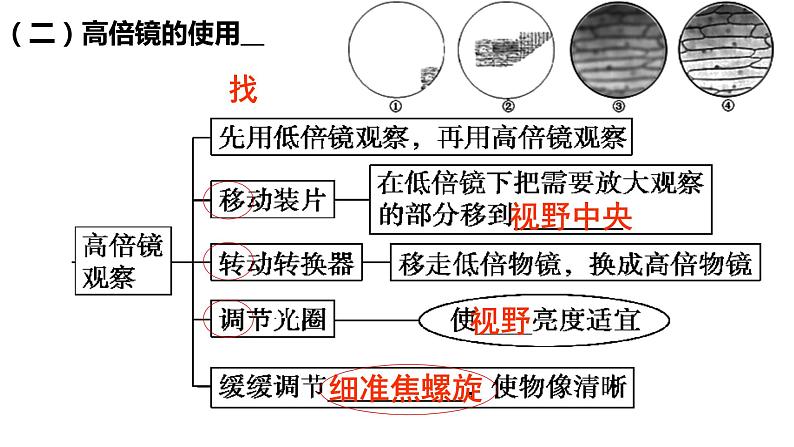 1.2细胞的统一性和多样性课件PPT05