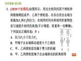 华师版九年级全一册科学 5.2.2 滑轮组 习题课件