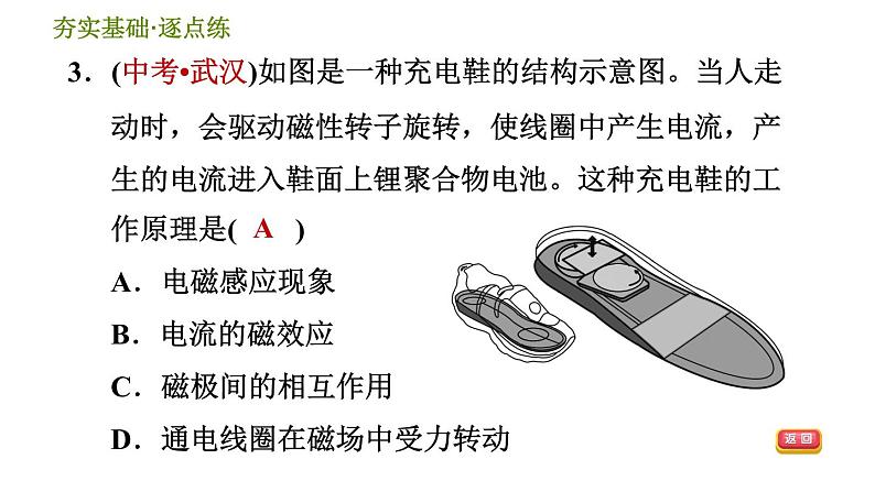 华师版九年级全一册科学 第6章 习题课件06