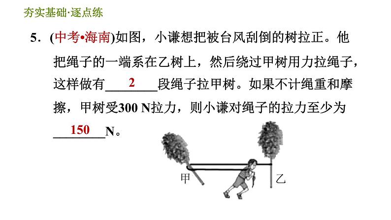 华师版九年级全一册科学 5.2.1 认识滑轮、定滑轮与动滑轮 习题课件08