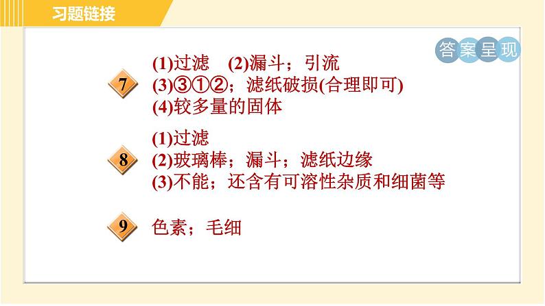 华师版B本八年级上册科学 第6章 习题课件03