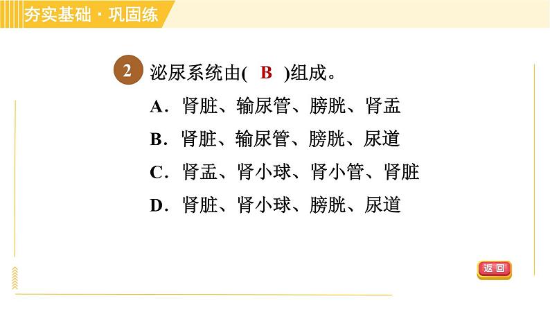 华师版B本八年级上册科学习题课件 第5章 5.4.1 泌尿系统的结构第5页