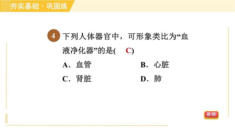 华师版B本八年级上册科学习题课件 第5章 5.4.1 泌尿系统的结构第7页