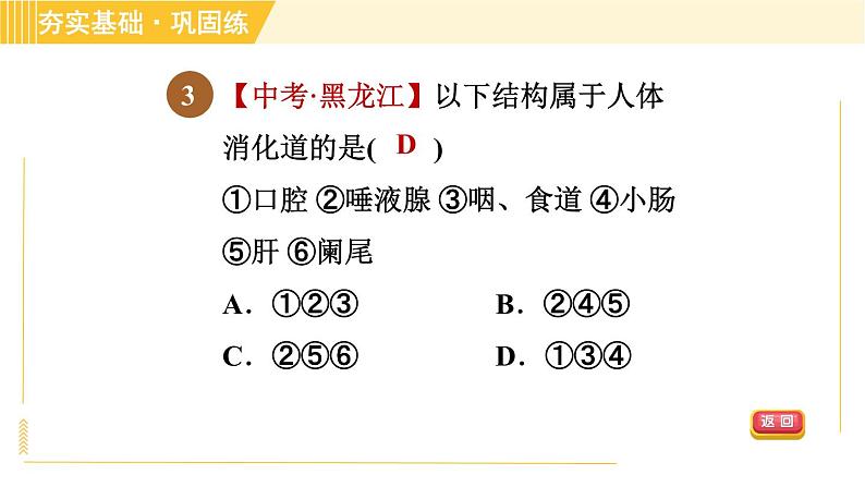 华师版B本八年级上册科学习题课件 第5章 5.1.1 消化系统的组成和口腔、胃内的消化第6页