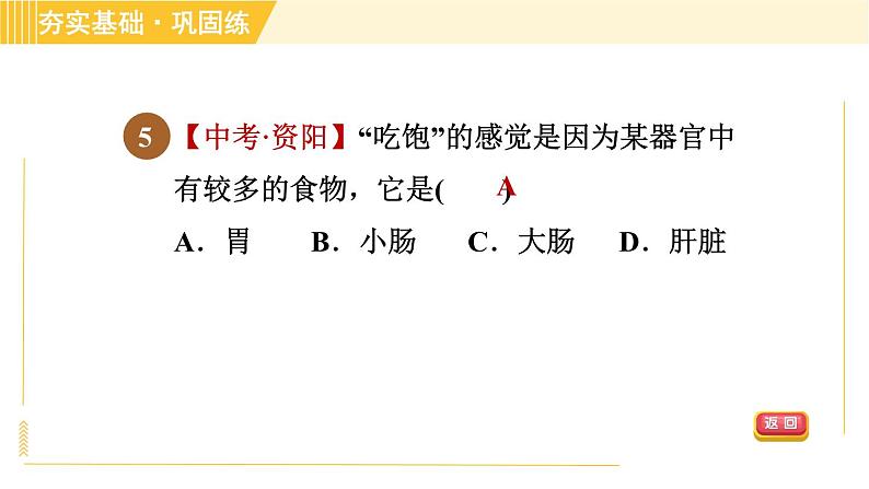 华师版B本八年级上册科学习题课件 第5章 5.1.1 消化系统的组成和口腔、胃内的消化第8页