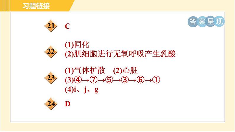 华师版B本八年级上册科学习题课件 第5章 5.5 人体生命活动过程中物质和能量的转化第4页