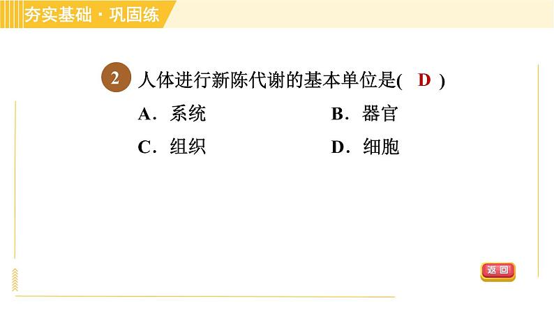 华师版B本八年级上册科学习题课件 第5章 5.5 人体生命活动过程中物质和能量的转化第6页