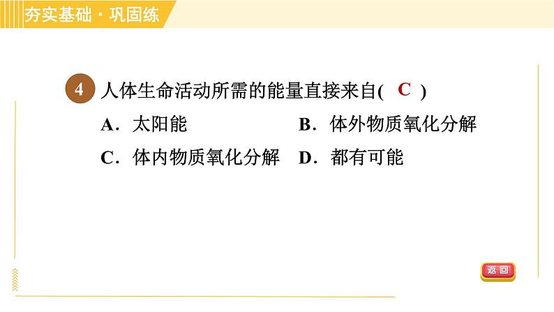 华师版B本八年级上册科学习题课件 第5章 5.5 人体生命活动过程中物质和能量的转化第8页