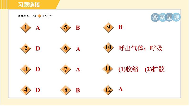 华师版八年级上册科学习题课件 第5章 5.2.2 呼吸运动和气体交换第2页