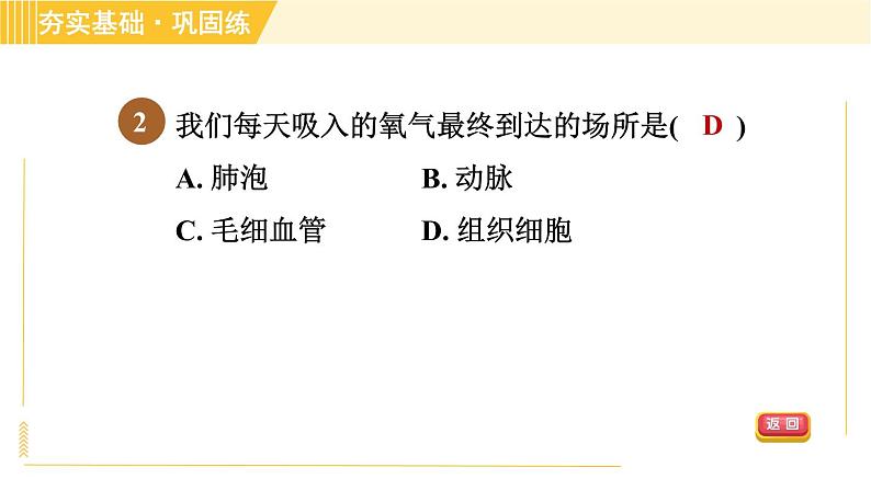 华师版八年级上册科学习题课件 第5章 5.2.2 呼吸运动和气体交换第5页