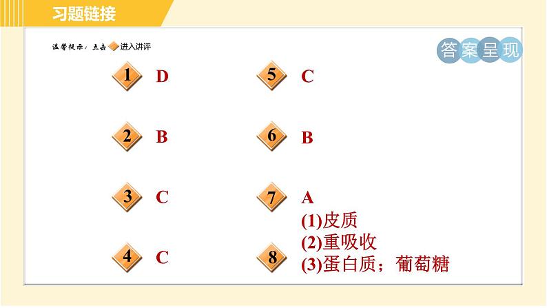 华师版八年级上册科学习题课件 第5章 5.4.2 尿的生成和排出第2页