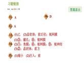 华师版八年级下册科学 第3章 习题课件