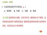 华师版八年级下册科学 第3章 习题课件