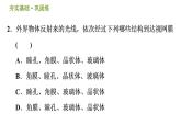 华师版八年级下册科学 第3章 习题课件