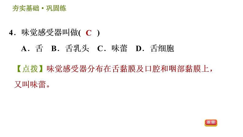 华师版八年级下册科学 第3章 习题课件07