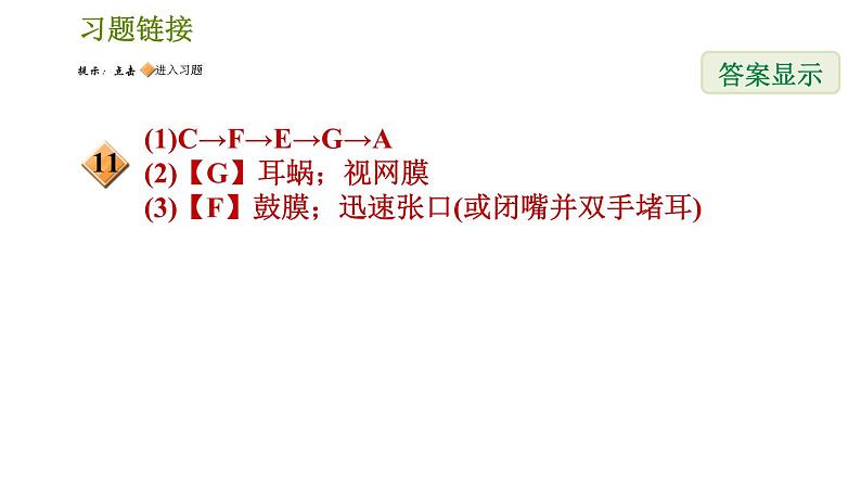 华师版八年级下册科学 第3章 习题课件03