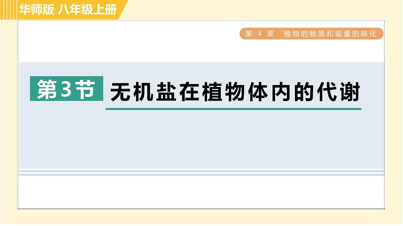 华师版B本八年级上册科学 第4章 习题课件01