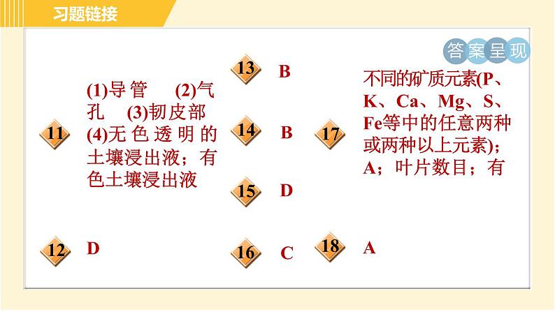 华师版B本八年级上册科学 第4章 习题课件03