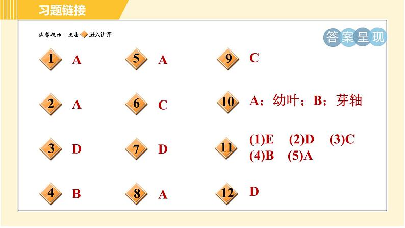 华师版B本八年级上册科学 第4章 习题课件02