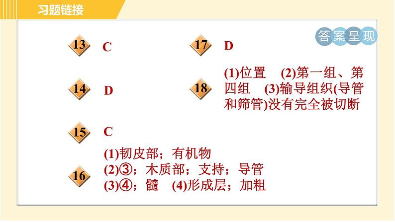 华师版B本八年级上册科学 第4章 习题课件03