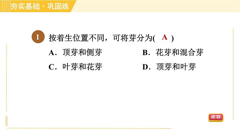 华师版B本八年级上册科学 第4章 习题课件04