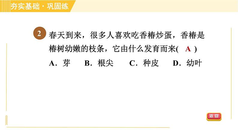 华师版B本八年级上册科学 第4章 习题课件05