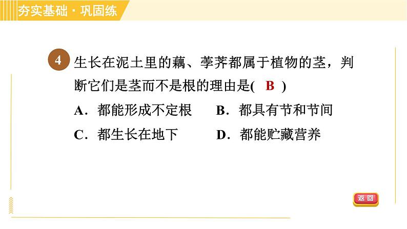 华师版B本八年级上册科学 第4章 习题课件07