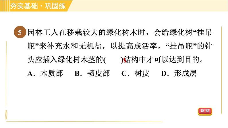 华师版B本八年级上册科学 第4章 习题课件08