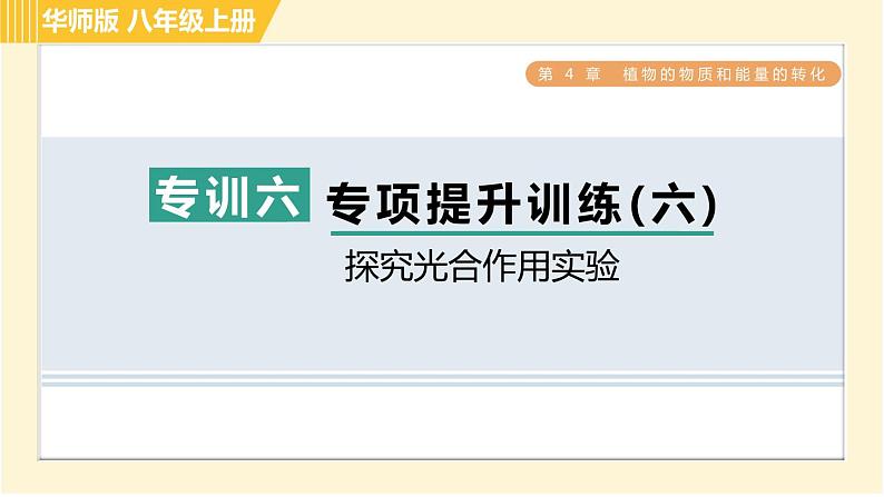 华师版B本八年级上册科学 第4章 习题课件01