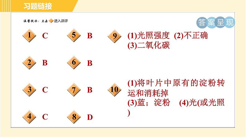 华师版B本八年级上册科学 第4章 习题课件02