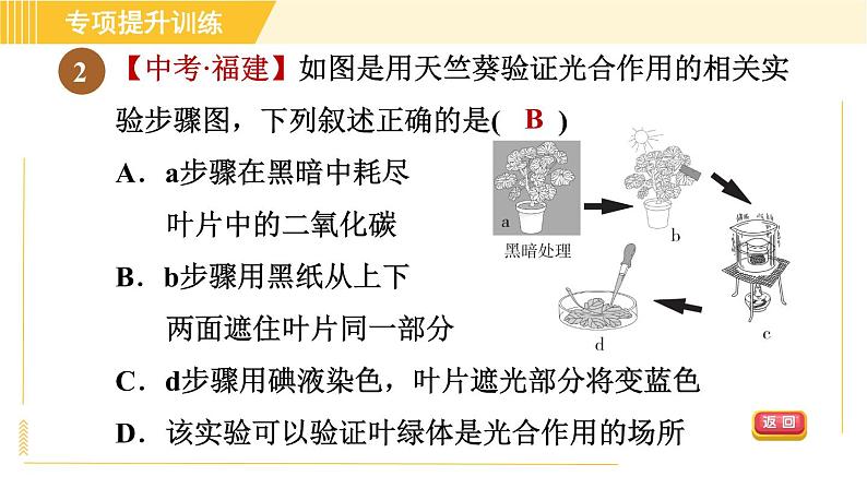 华师版B本八年级上册科学 第4章 习题课件05