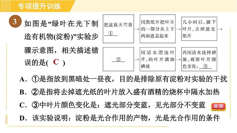 华师版B本八年级上册科学 第4章 习题课件06