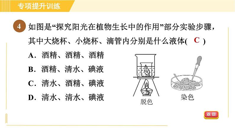 华师版B本八年级上册科学 第4章 习题课件07