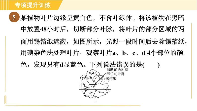 华师版B本八年级上册科学 第4章 习题课件08