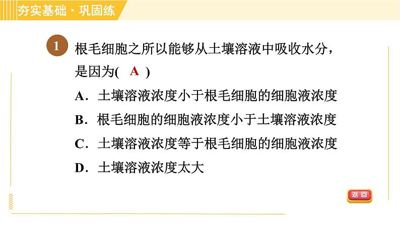 华师版B本八年级上册科学 第4章 习题课件04